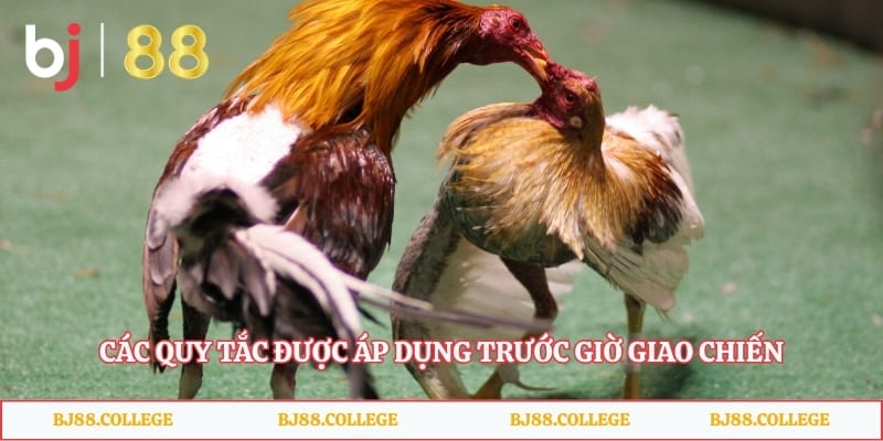 Các quy tắc được áp dụng trước giờ giao chiến