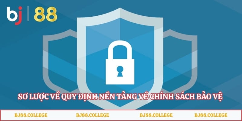 Sơ lược về quy định nền tảng về chính sách bảo vệ mới nhất